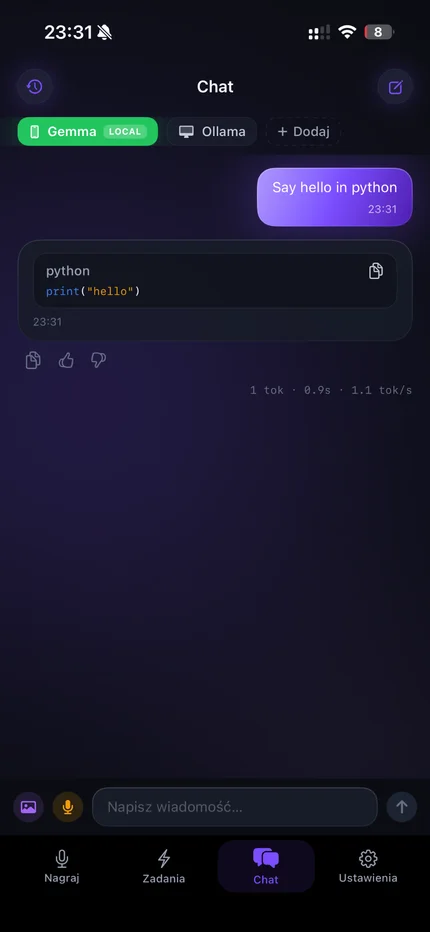 VAYS local chat screen